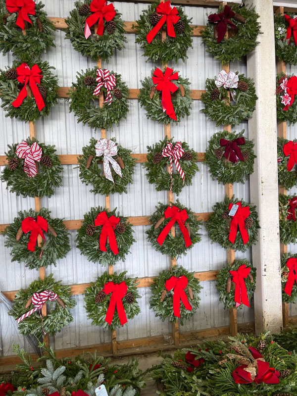 Pops-Midtown-Pumpkin-Patch-And-Christmas-Trees-Opens