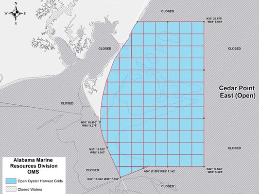 Oyster Harvest On Track To Double From Last Year