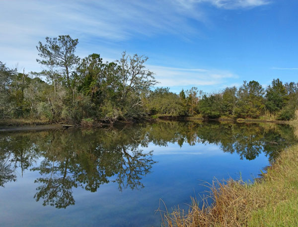 South-Alabama-Land-Trust-SALT-City-Deal-To-Protect-96-Acres