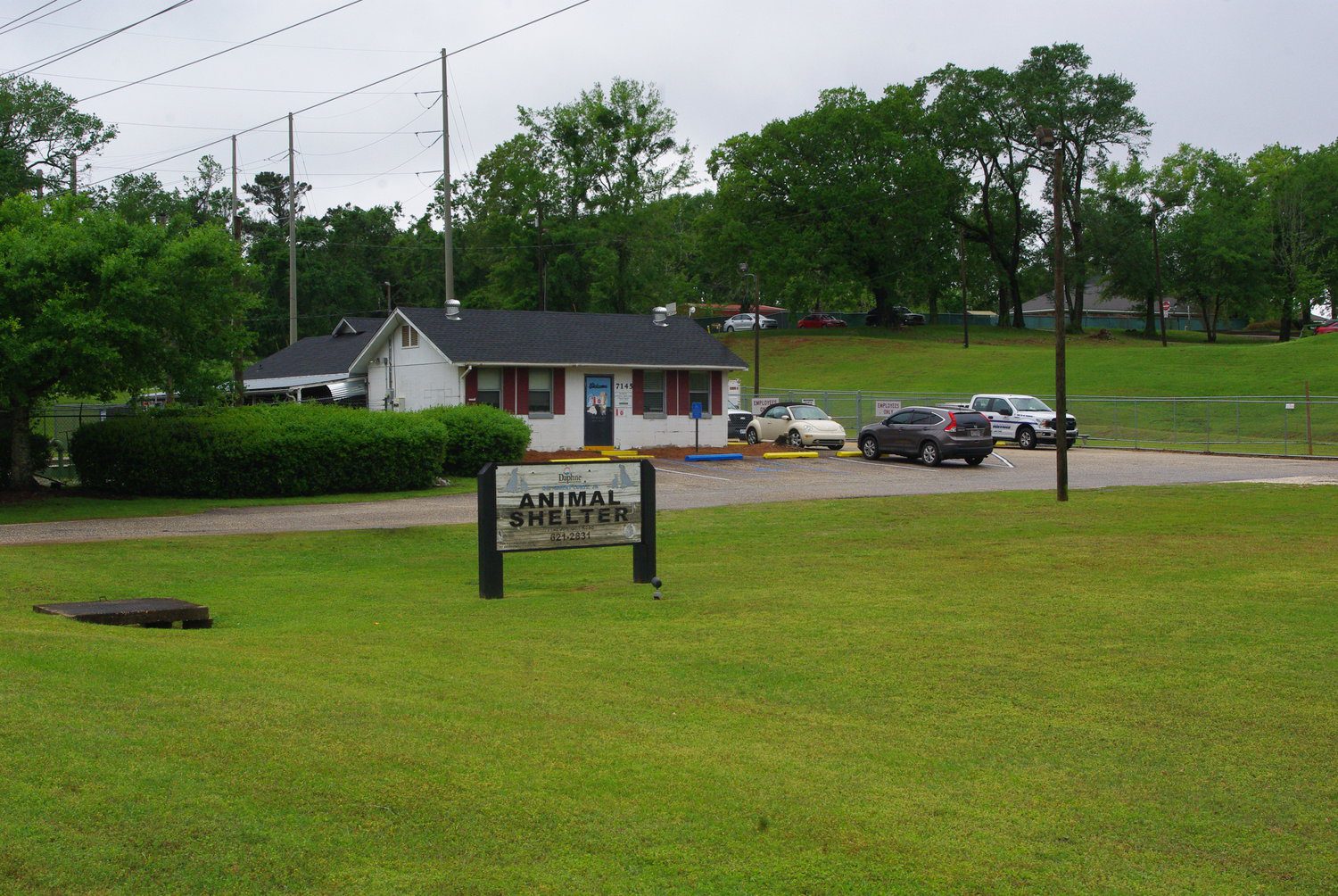 Daphne to Build Multimillion-Dollar Animal Shelter