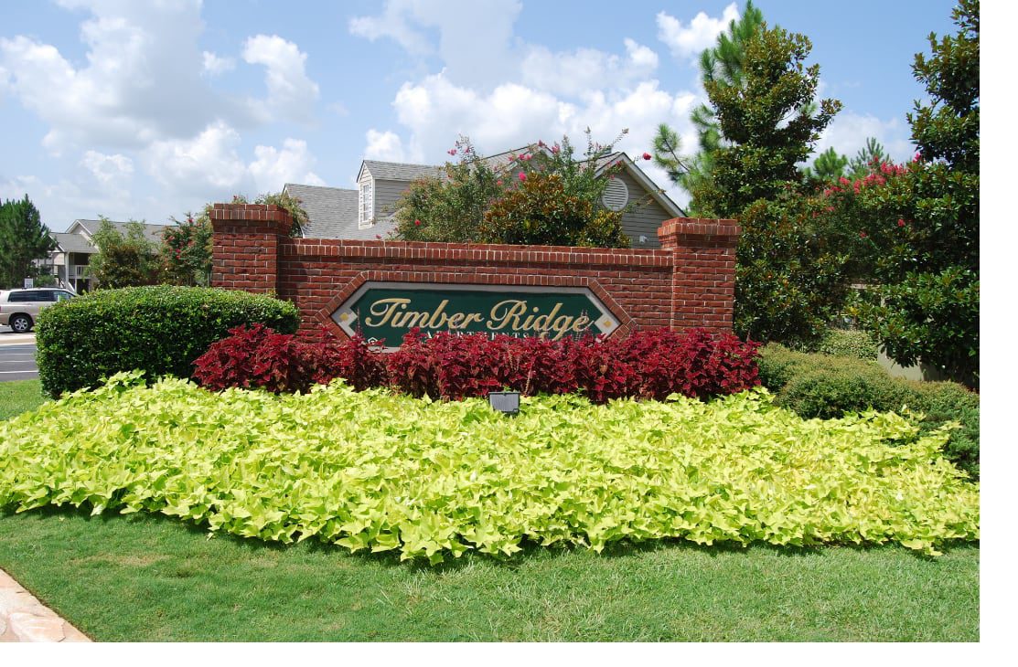 photo courtesy of https://www.timberridgeapartments.net/photogallery