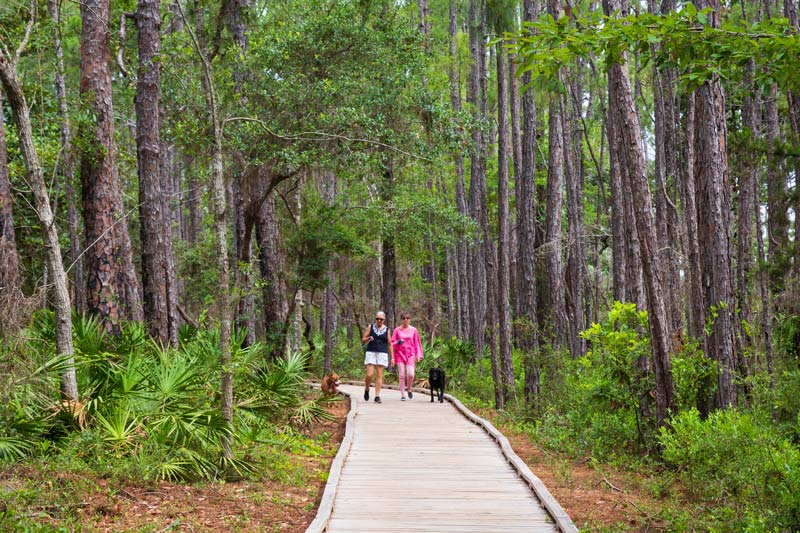 South Alabama Land Trust Hires Coordinator, To Add Easements