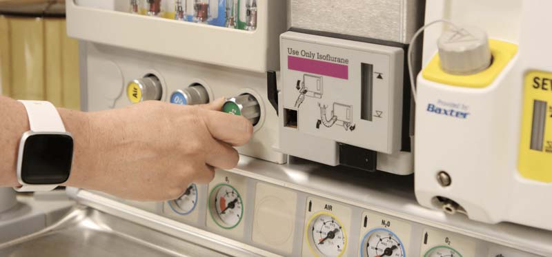 University Of Mobile Doctor Of Nurse Anesthesia Program Opens