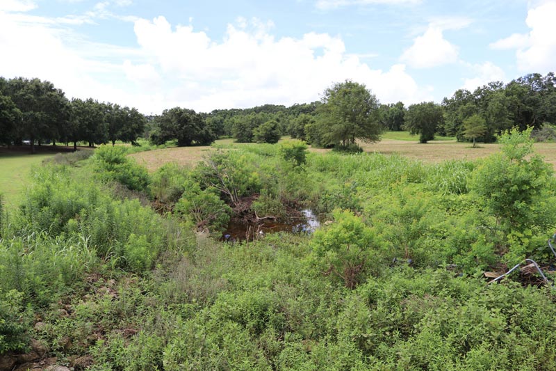 Fairhope Considering Plans For Nature Park