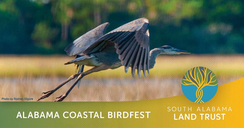 Birdfest Set For October