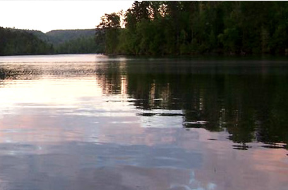 Conservation Nonprofit Launched