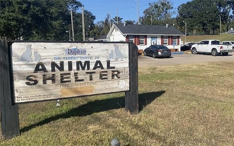 Details On Daphne&rsquo;s Multimillion-Dollar Animal Shelter