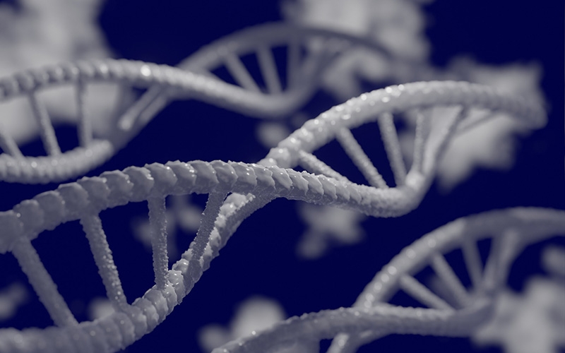 USA Scientists Publish &ldquo;Breakthrough Research&rdquo;
