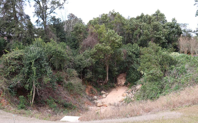 Fairhope Set To Begin Gully Stabilization