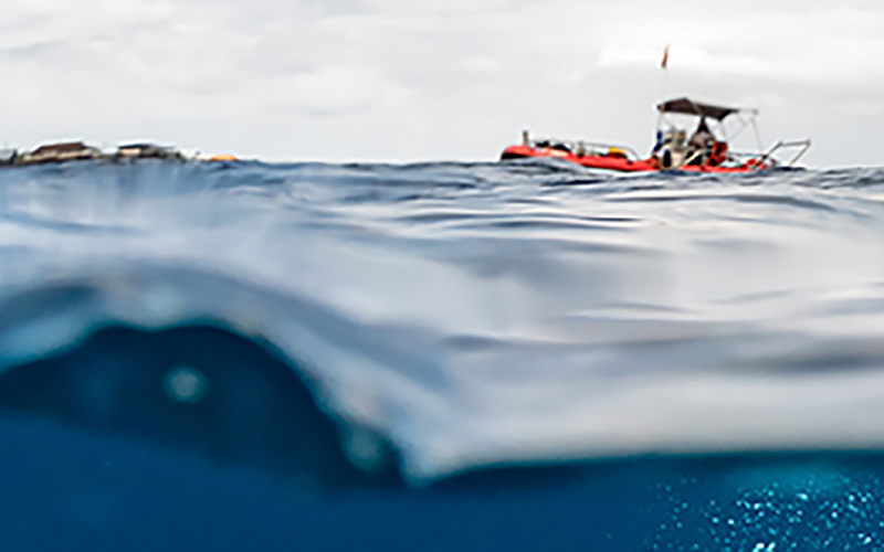 Ocean Acidification Education Grant Opens