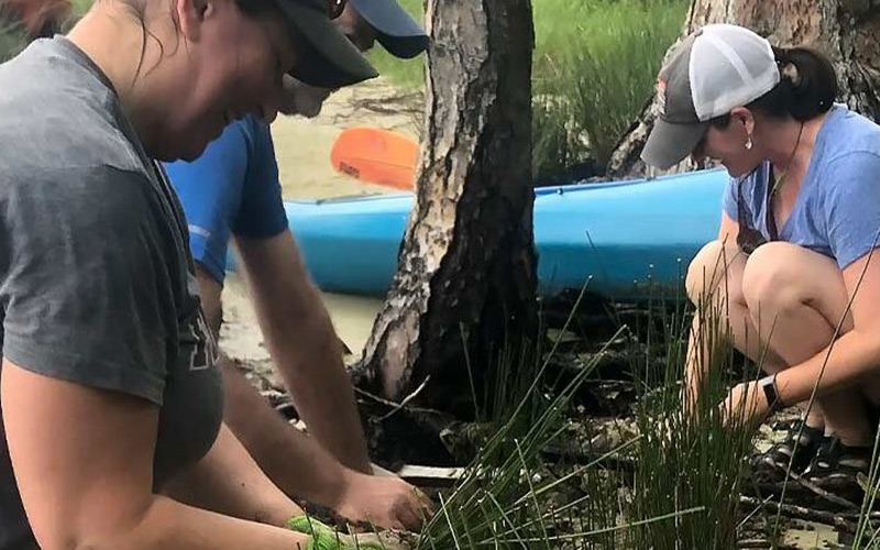 Salt Announces Volunteering Opportunities