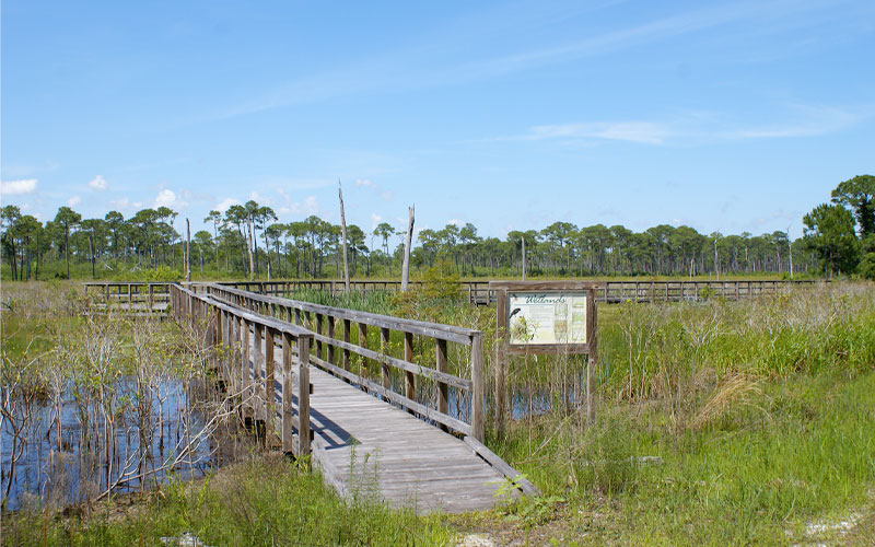 Weeks Bay Restoration Supplement Approved
