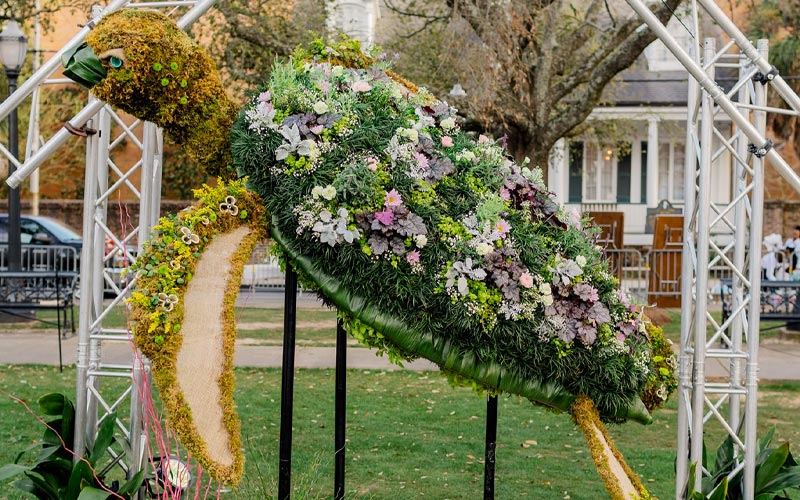 Festival Of Flowers Coming Up