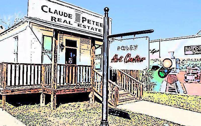 Foley Student Wins Art In The Park Awards