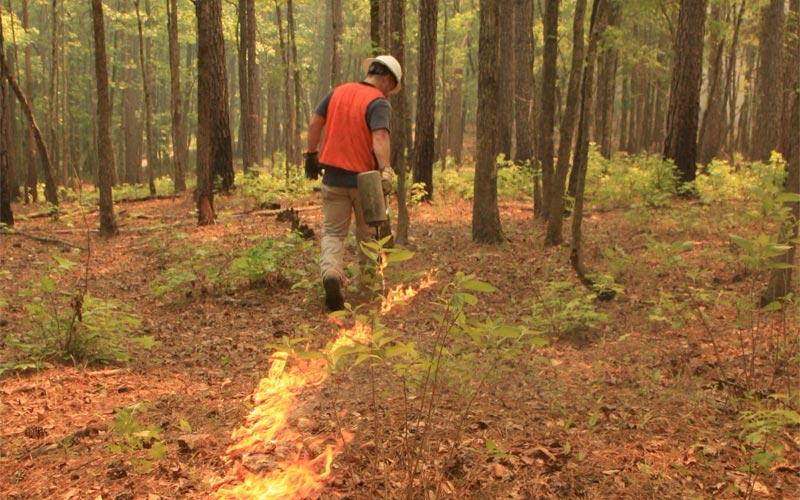 &ldquo;Learn To Burn&rdquo; Scheduled For May