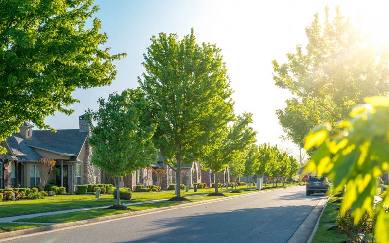 Tree Assessment Workshop Coming Up