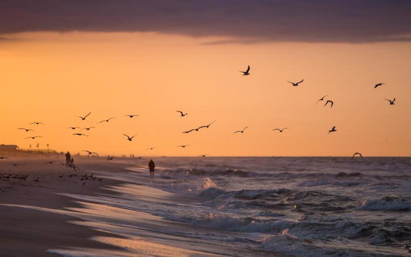 Coastal Water Quality Projects Announced