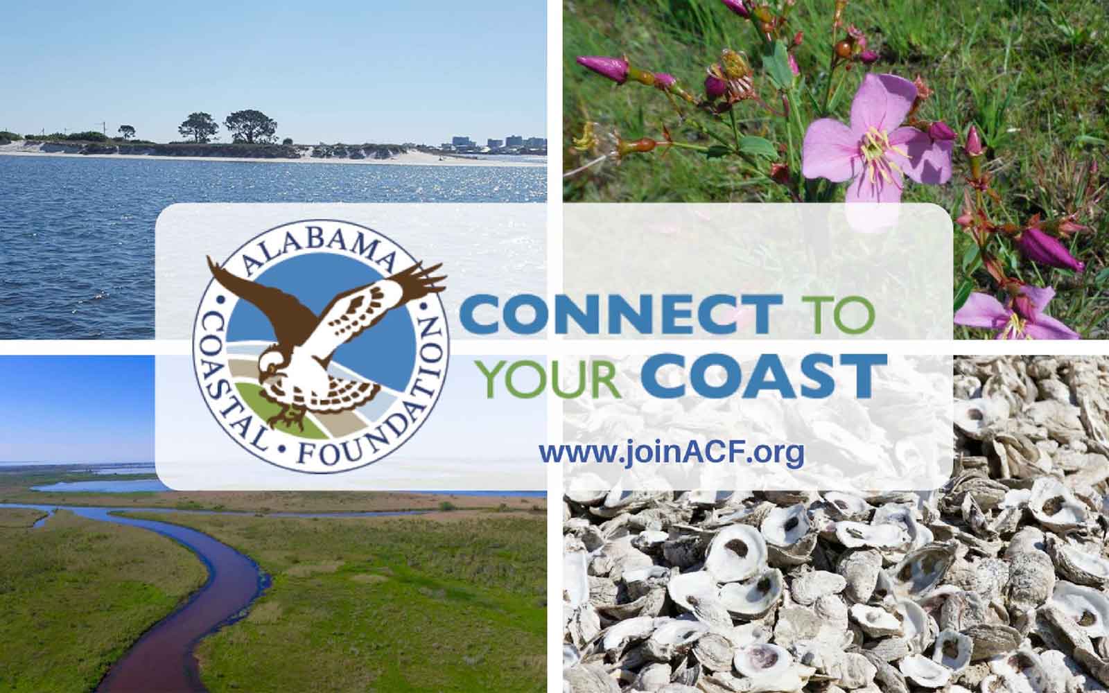 Alabama Coastal Foundation (ACF) Outreach Event