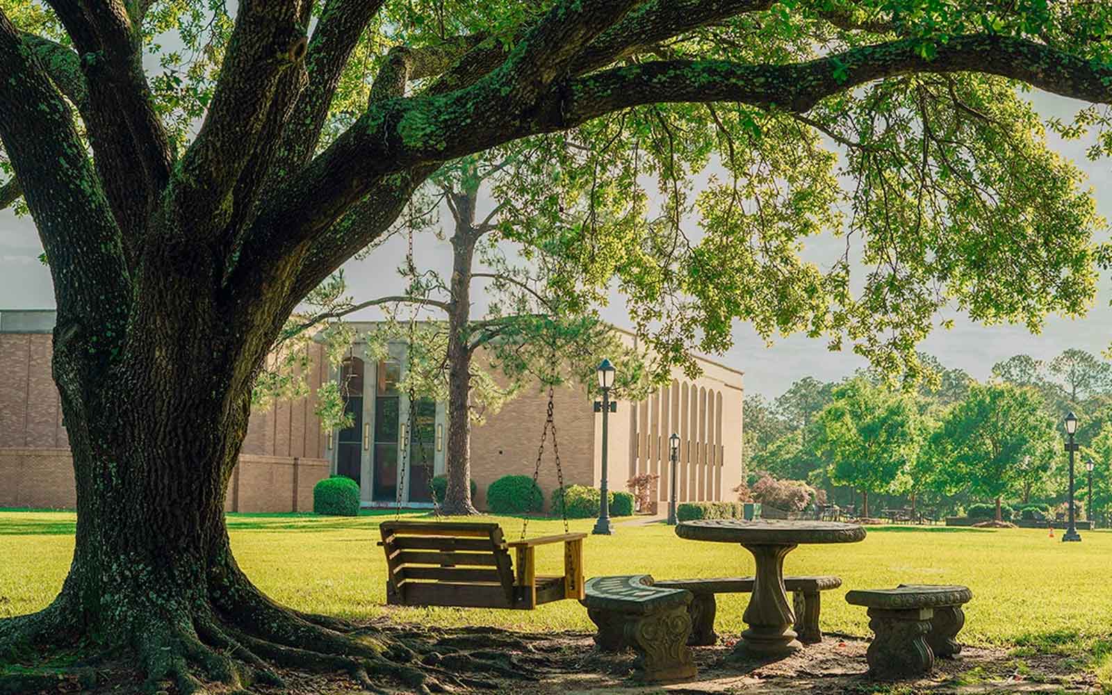 UM Hires Assistant Professor