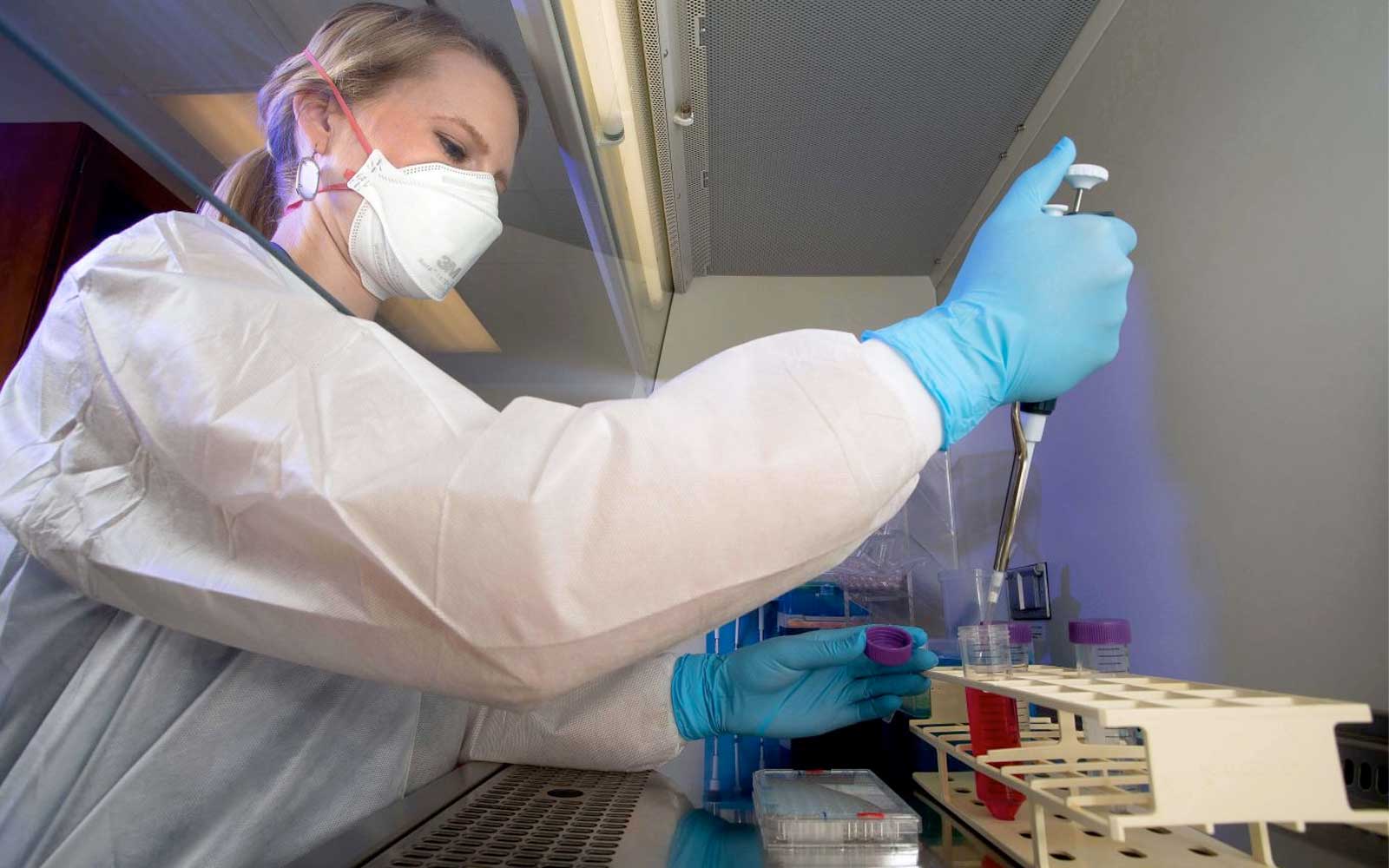 Grant To Study Tick-Borne Infections At USA