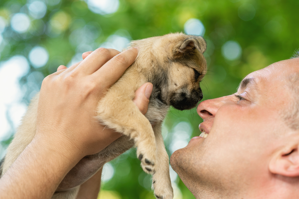 Fido Launches Puppy-Finding App Barkd