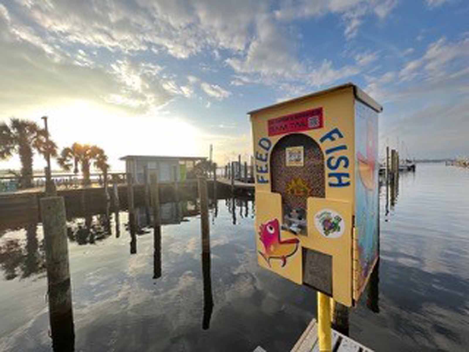 Sponsor Announced For Eco Clean Marine Fish Feeder