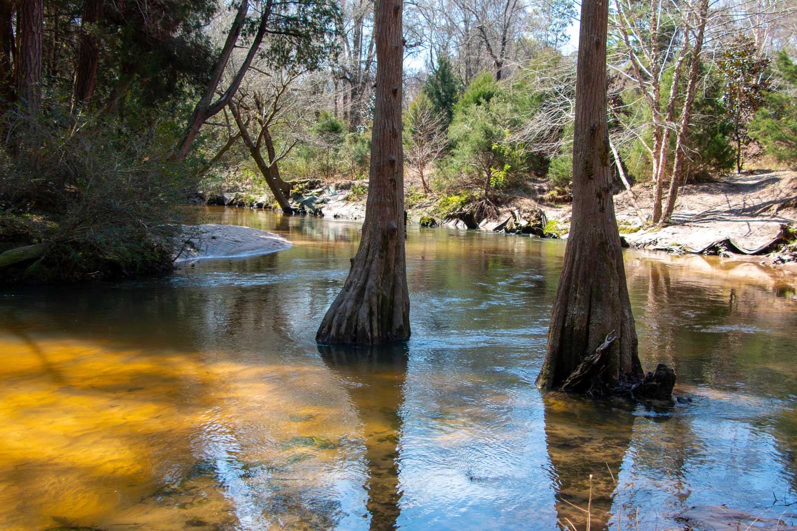 Alabama Water Rally Coming Up