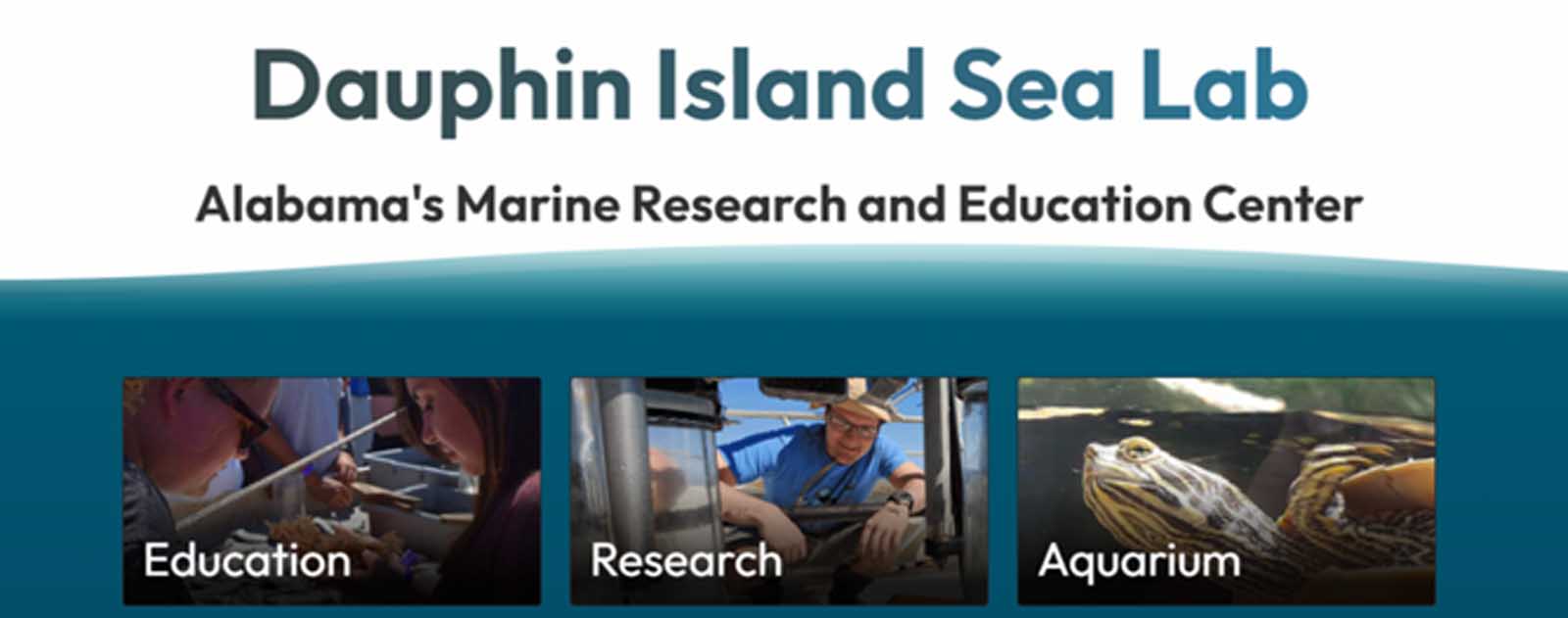 DISL&rsquo;s New Website Goes Live