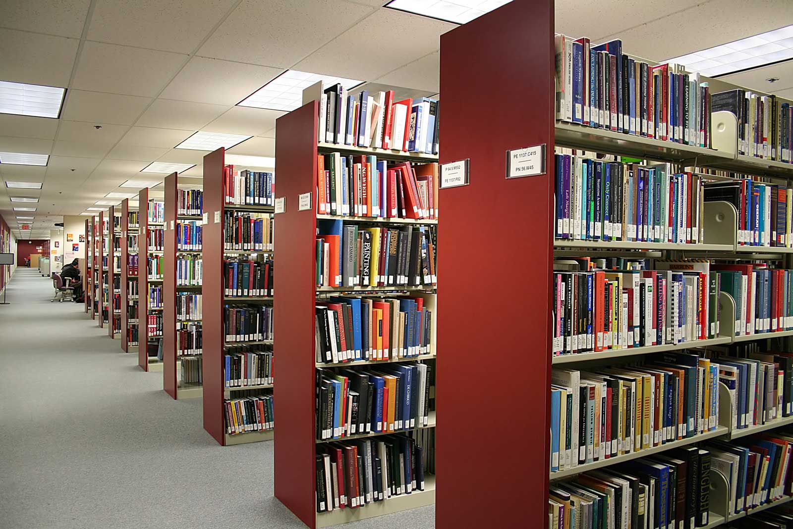 Summer Library Celebrations Set For Tomorrow