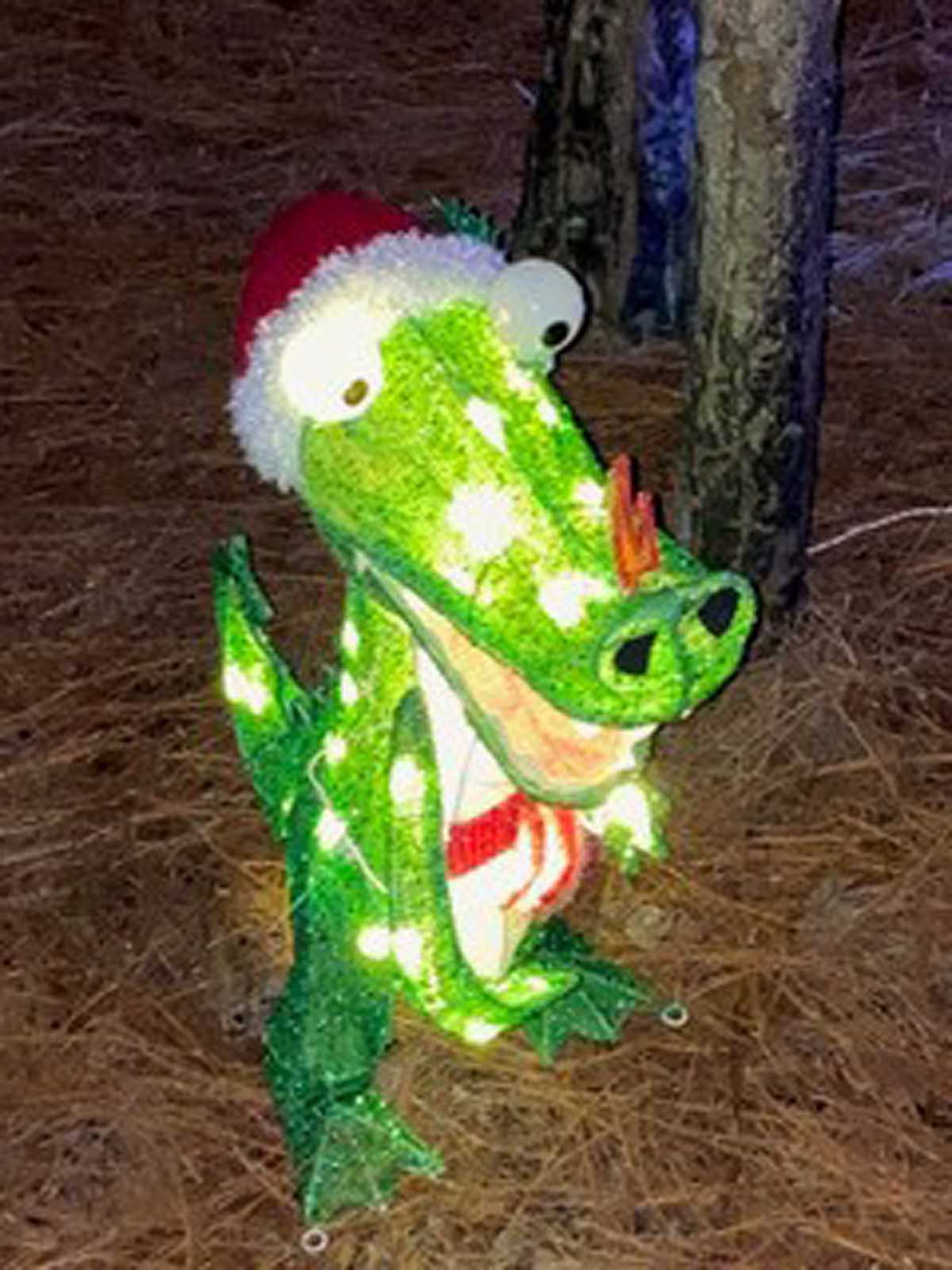 Graham Creek Nature Preserve Christmas Trail Opens Today
