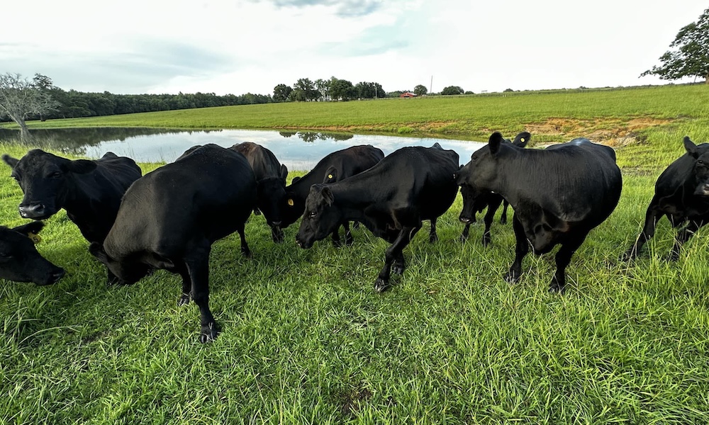 TASTE OF THE FARM COMING UP IN GRAND BAY