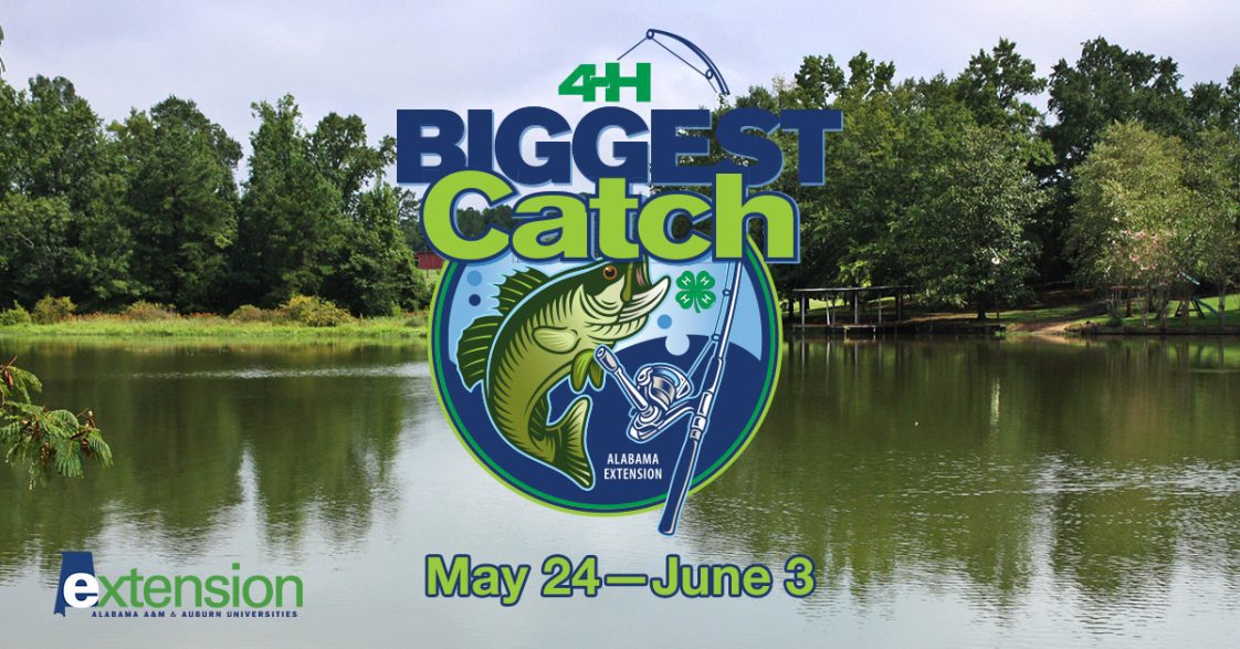4-H BIGGEST CATCH CONTESTS OPENS TODAY