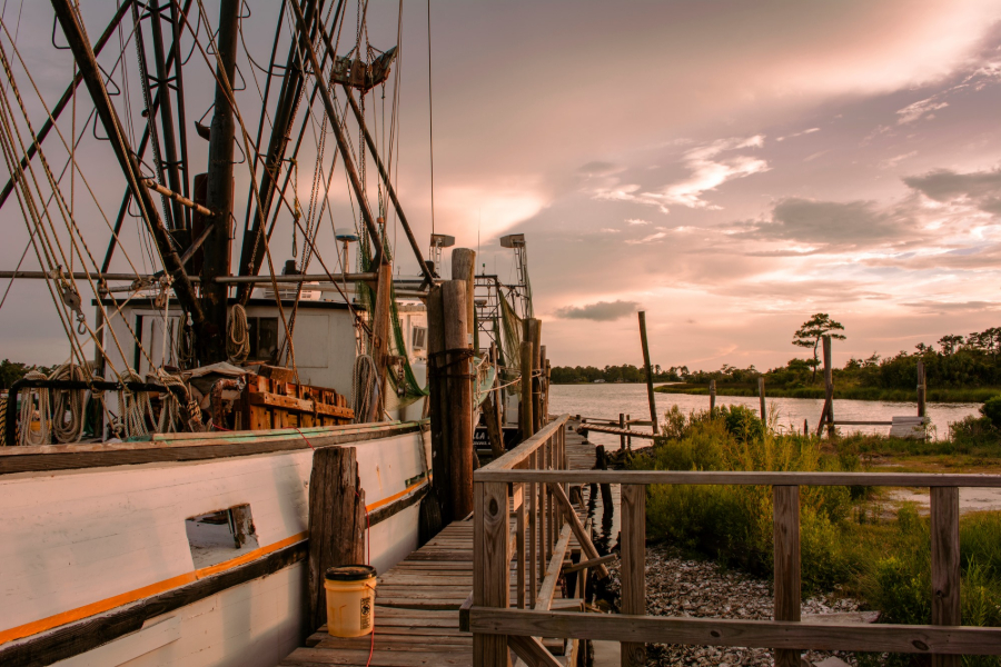 ALABAMA STATE WATERS TEMPORARILY CLOSED TO SHRIMPING