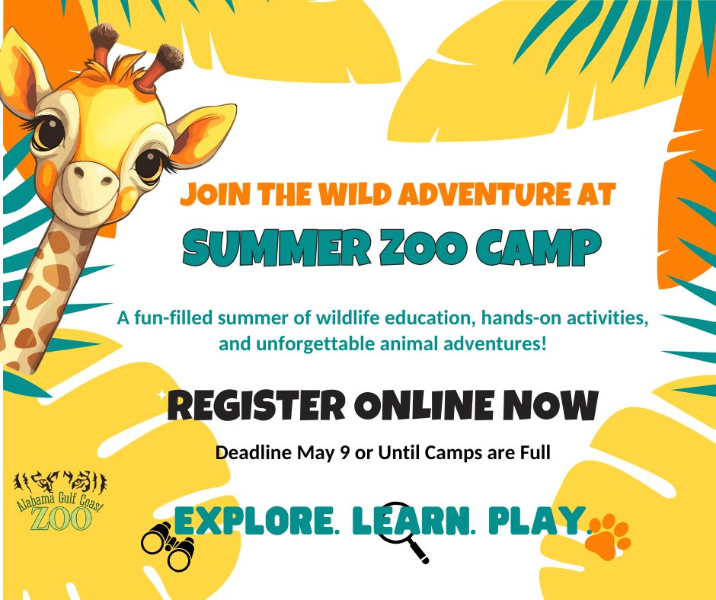 ZOO CAMP DETAILS ANNOUNCED