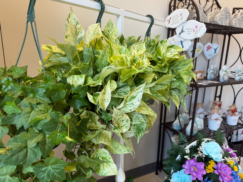 BLOOMING FABULOUS FLOWER SHOP OPENS AT EASTERN SHORE CENTRE