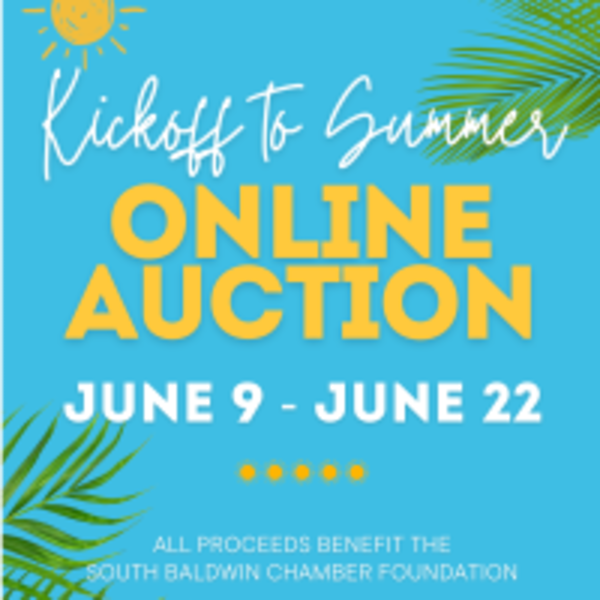 SOUTH BALDWIN CHAMBER FOUNDATION AUCTION BEGINS
