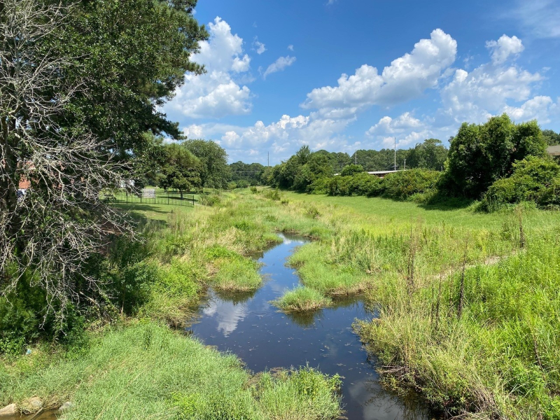 NEW WALKING TRAIL PLANNED ALONG WOLF CREEK IN FOLEY