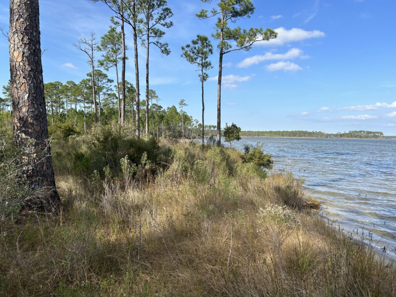 NOAA GRANT TO BE USED FOR EXPANSION OF GRAHAM CREEK NATURE PRESERVE