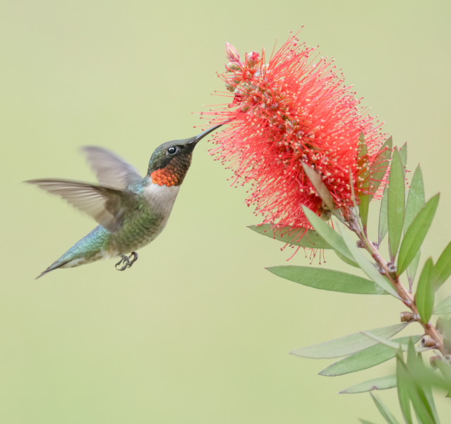 OUTDOOR ALABAMA PHOTO CONTEST OPEN THROUGH OCTOBER 31__