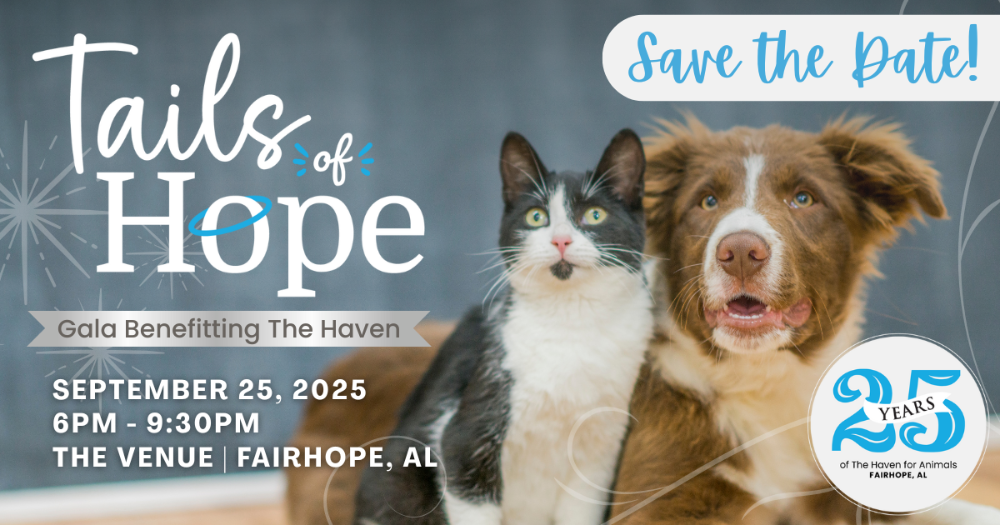 THE HAVEN FUNDRAISER SET FOR SEPTEMBER 25