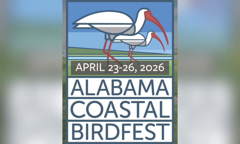 birdfest to return in 2026 with new host