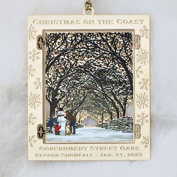 GOODWILL GULF COAST ANNOUNCES 2025 CHRISTMAS ORNAMENT DESIGNS