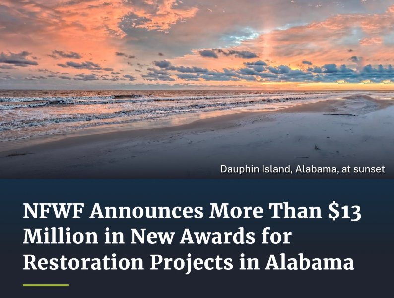 NFWF ANNOUNCES MORE THAN $13 MILLION IN PROJECTS