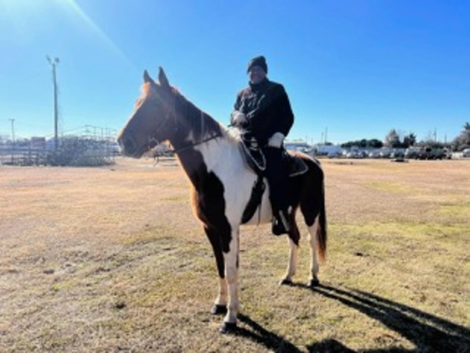 MOBILE TO TRAIN MARDI GRAS HORSE RIDERS