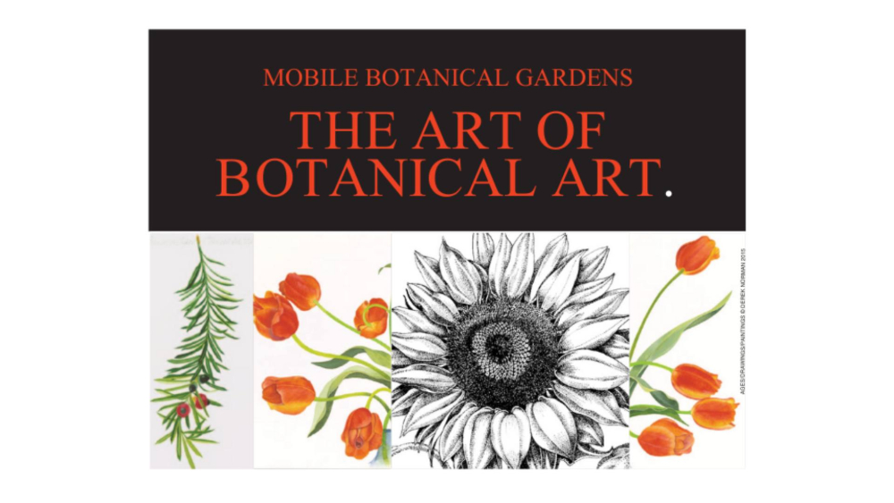 MBG DRAWING CLASS COMING UP
