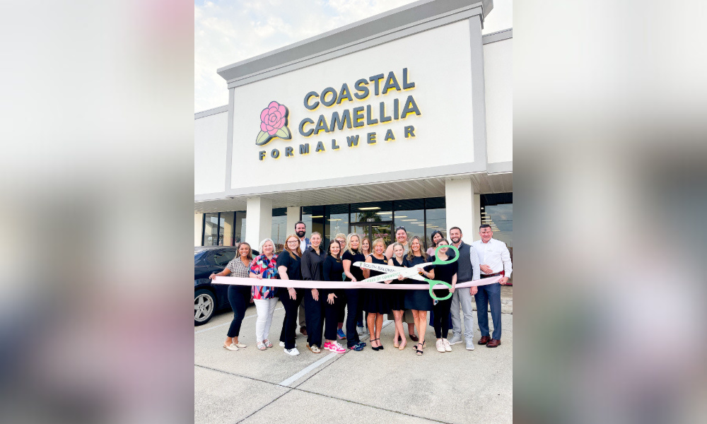 coastal camellia opens in foley