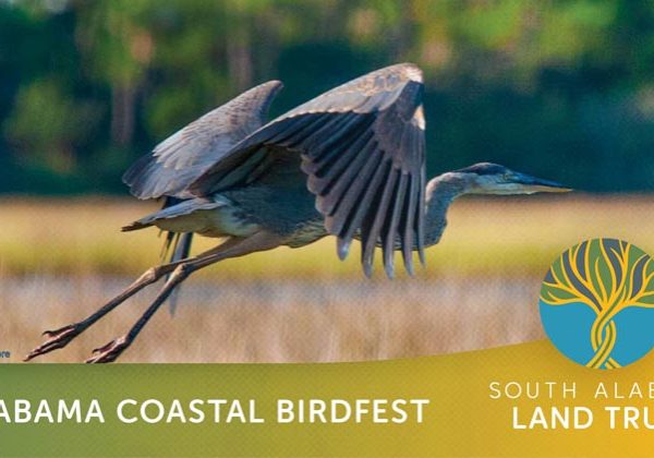 Birdfest Set For October