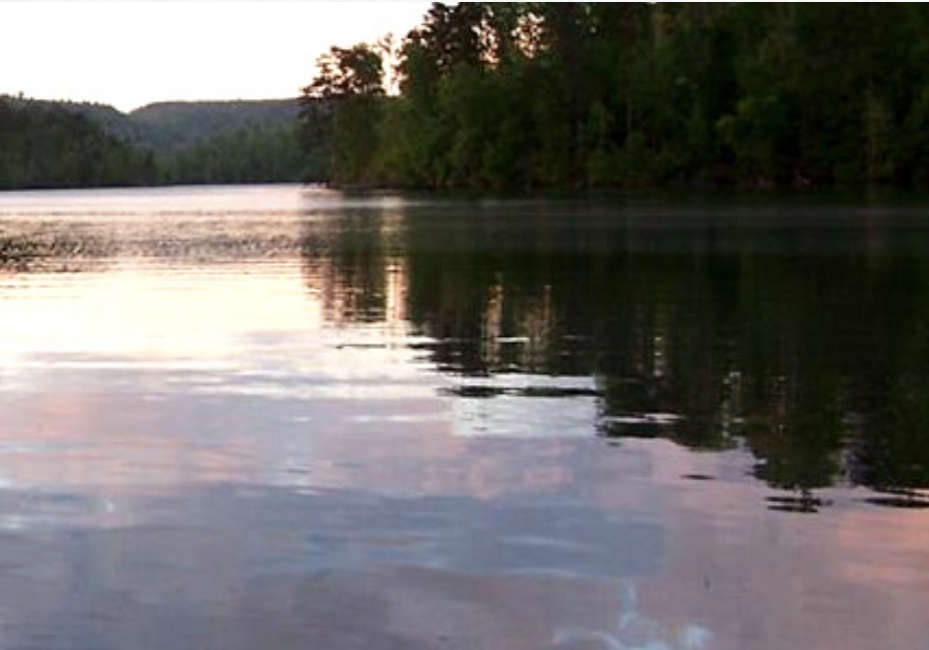 Conservation Nonprofit Launched
