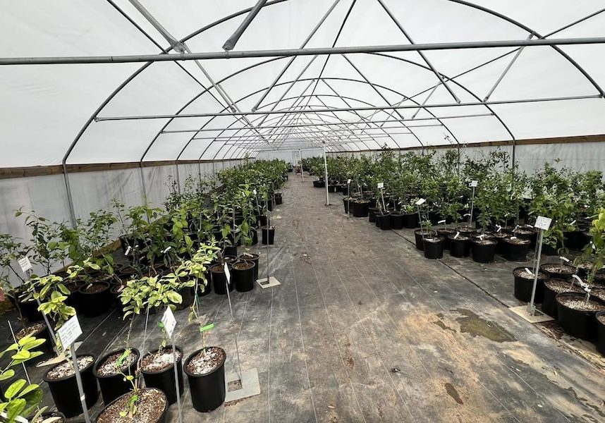 FOLEY’S COOPER FARM EARNS USDA CERTIFICATION