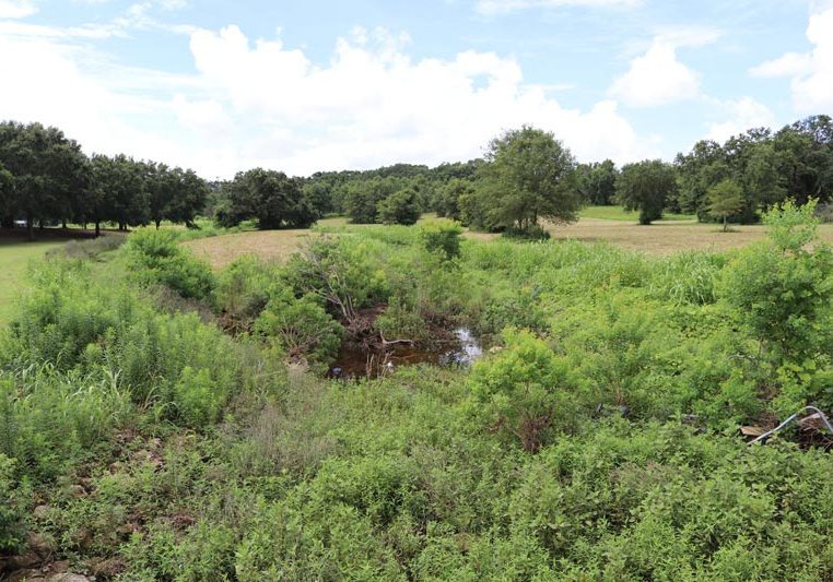 Fairhope Considering Plans For Nature Park